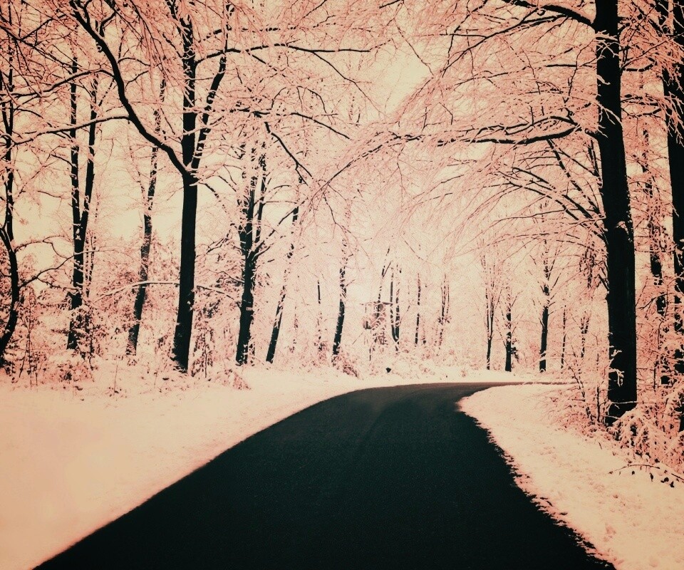 Дорога в зимнем лесу обои