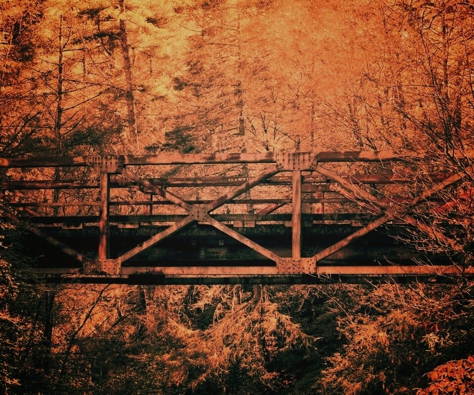 Металлический мост в лесной глуши обои