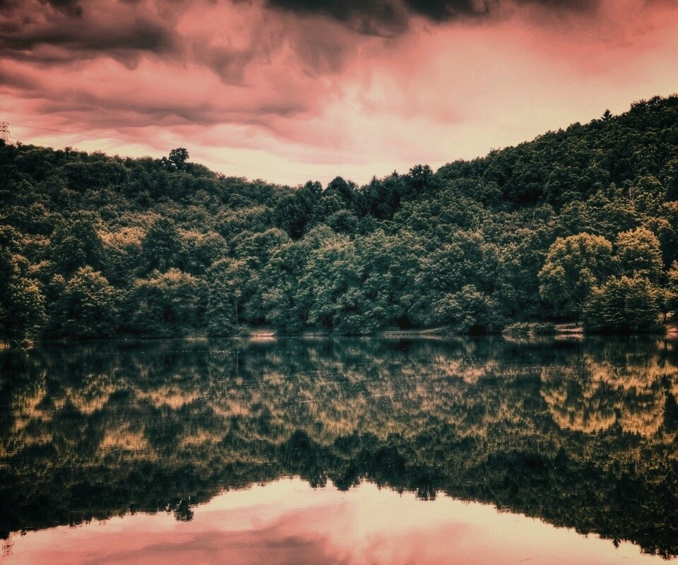 Лесной берег обои