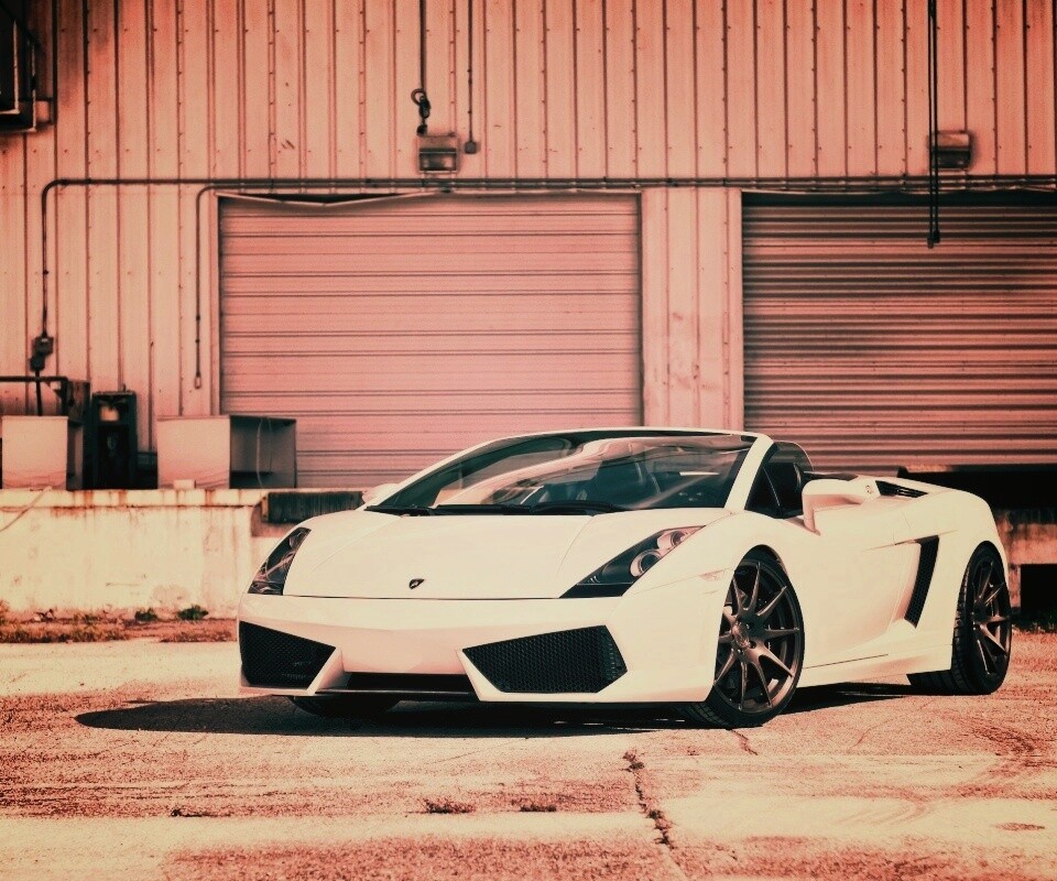 Белый спорткар Ламборгини Галлардо обои