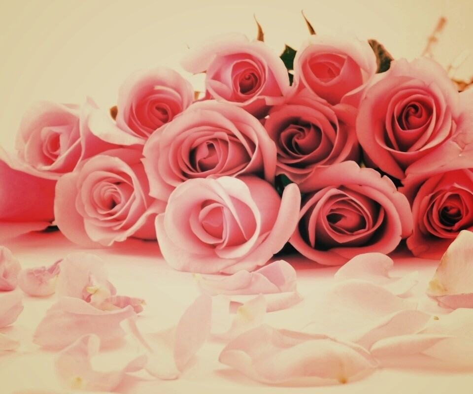Букет роз обои