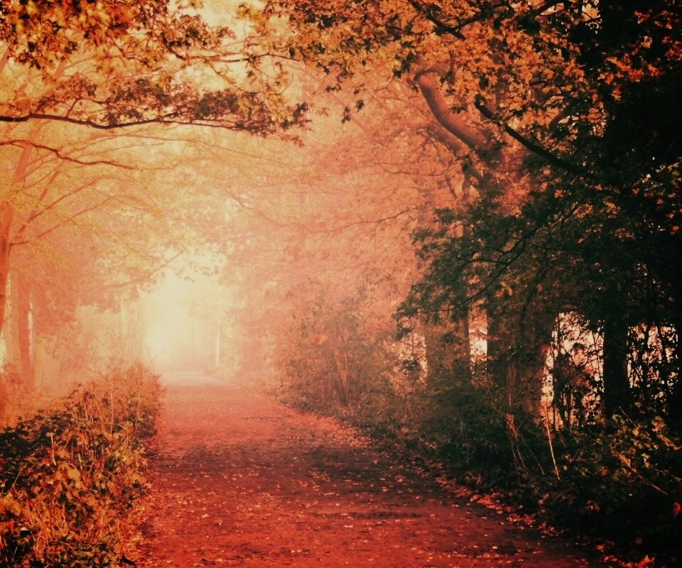 Парковая дорожка обои