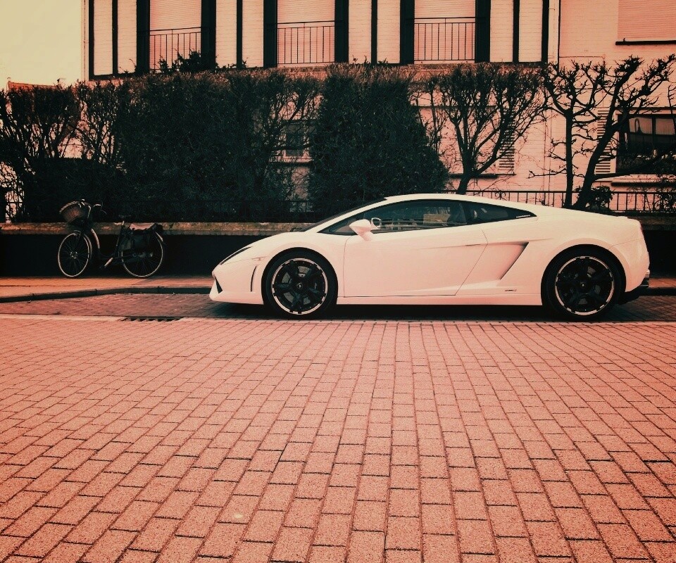 Белый Lamborghini обои