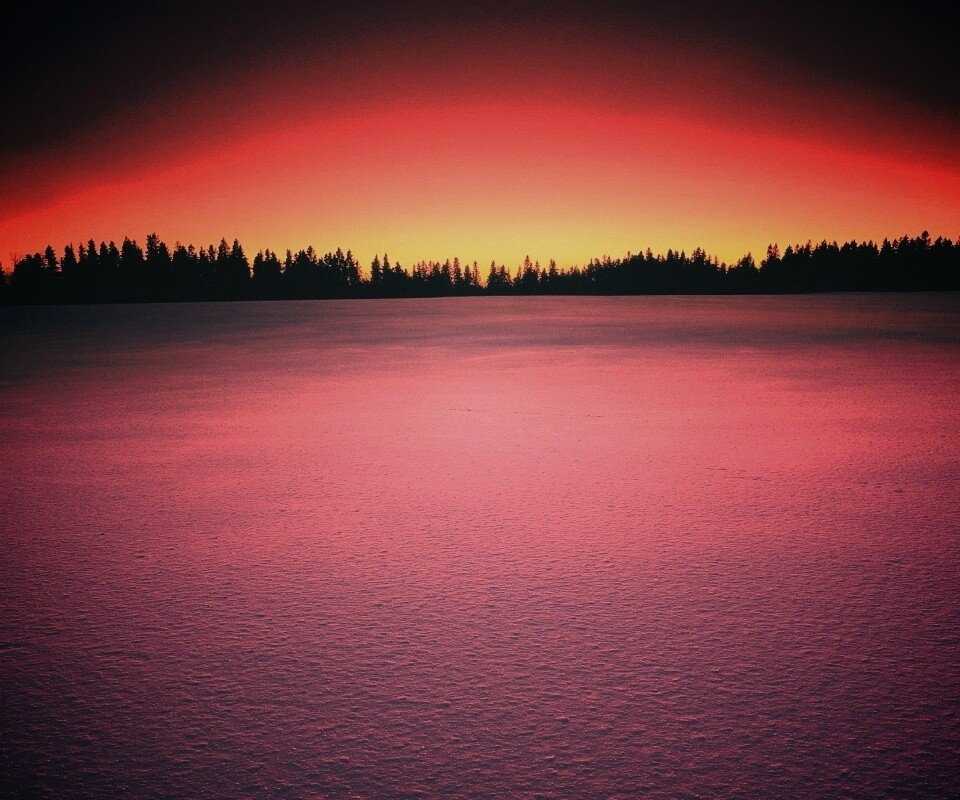 Восход над заснеженным лесом обои