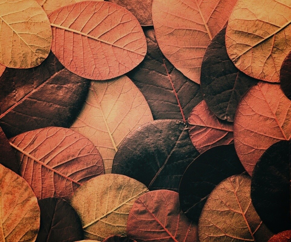 Лиственный узор обои