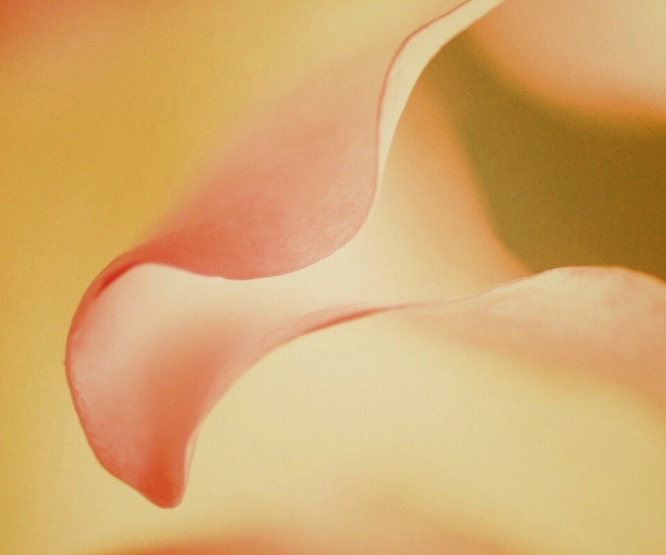 Оттенки природы обои