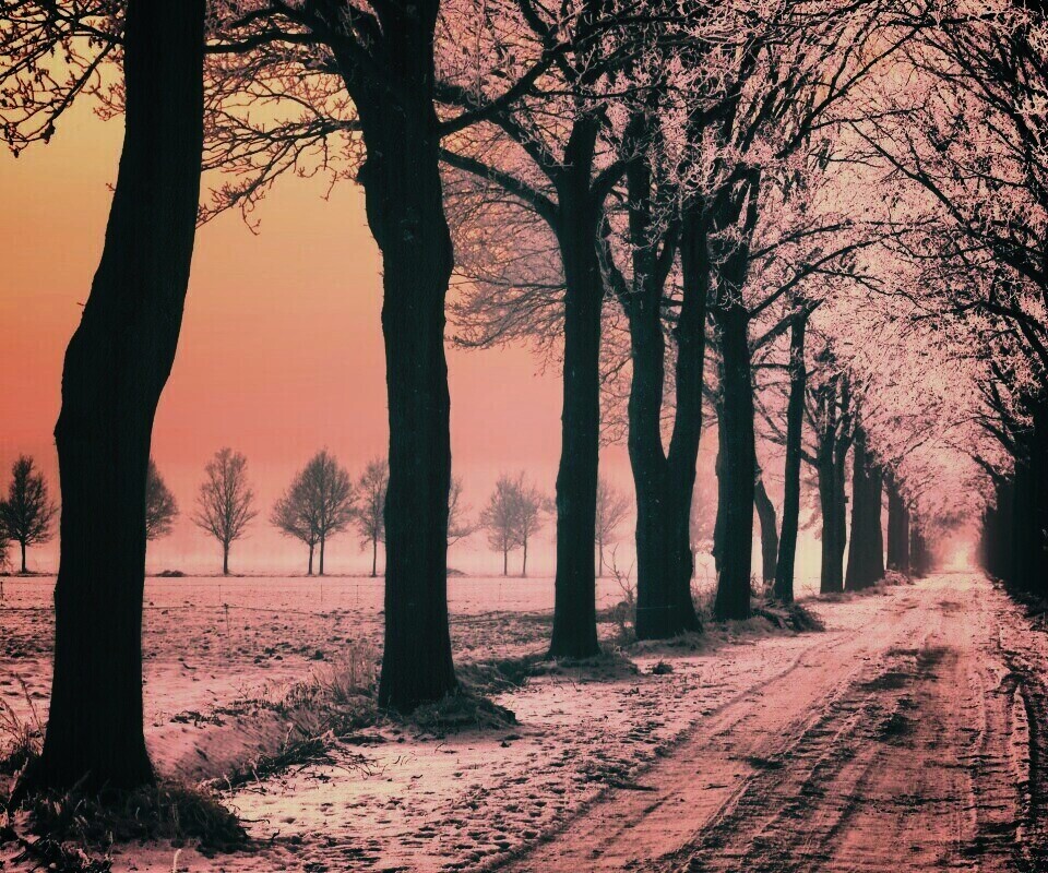 Морозное утро обои