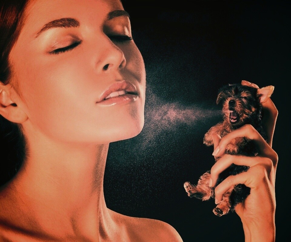 Соблюдайте гигиену обои