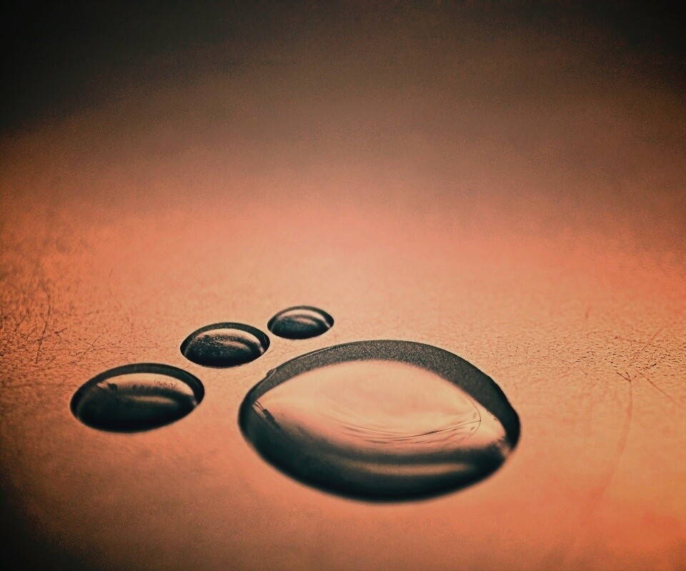 Капли воды обои