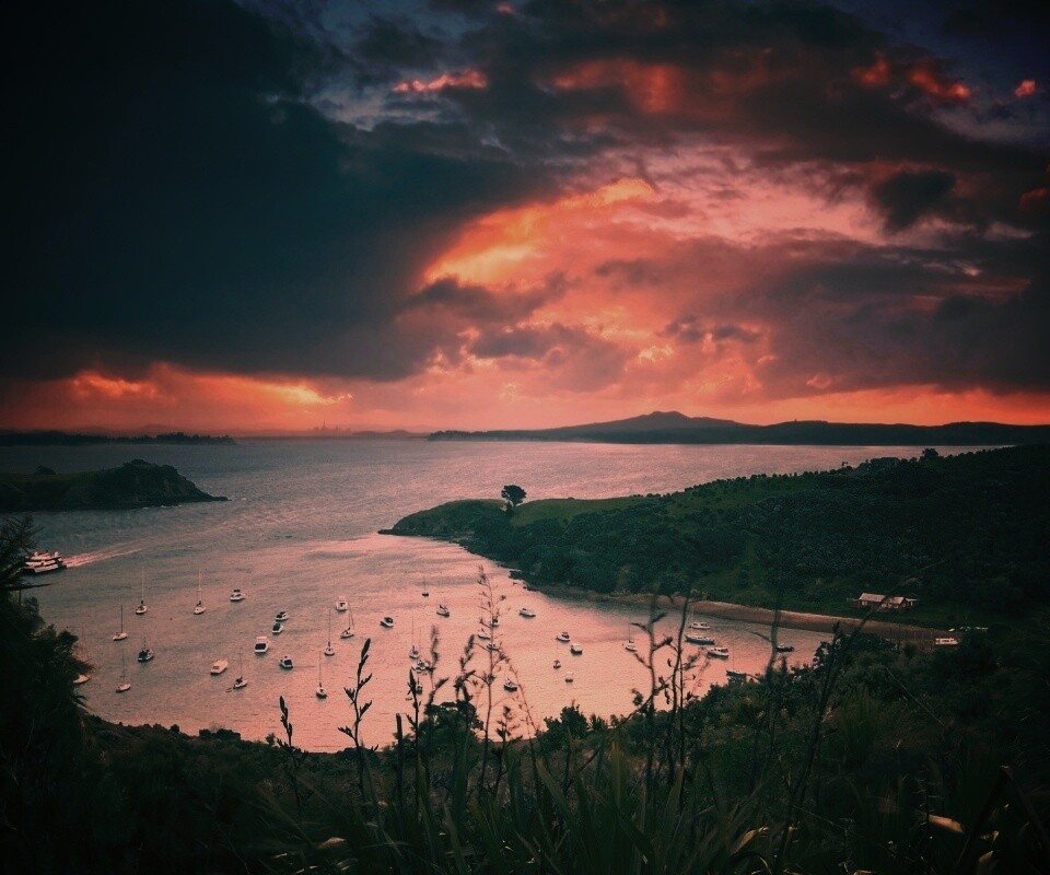 Waiheke Island, New Zealand обои