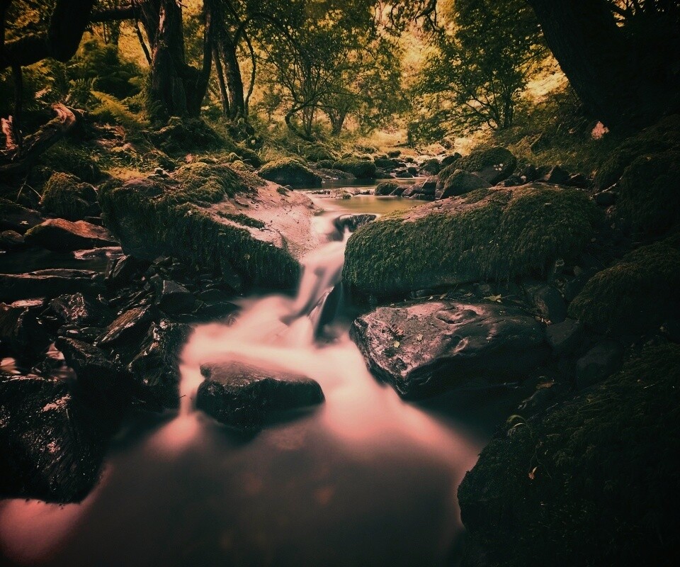 Речной поток в лесу обои