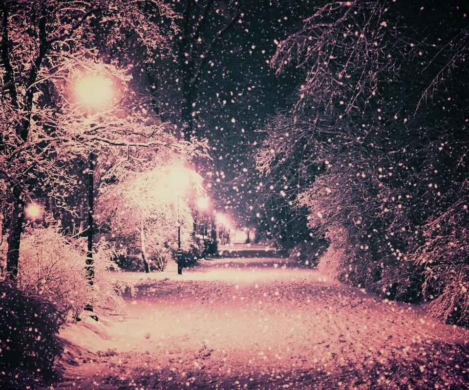 Зимняя аллея обои