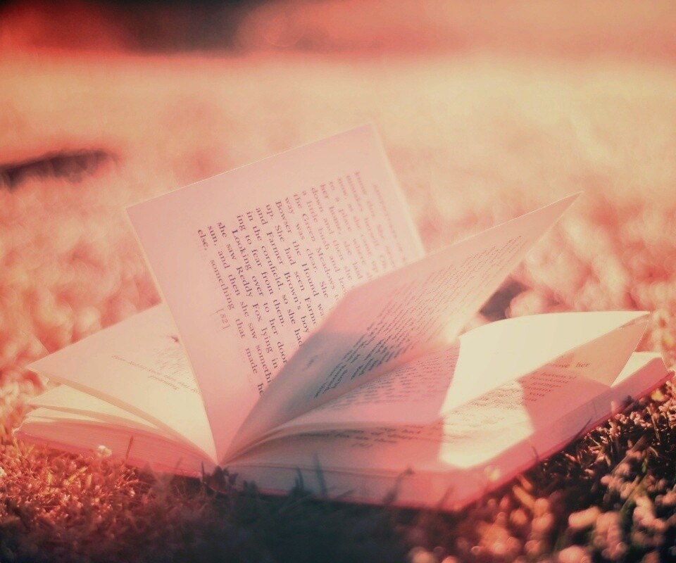 Книга в нежном свете обои