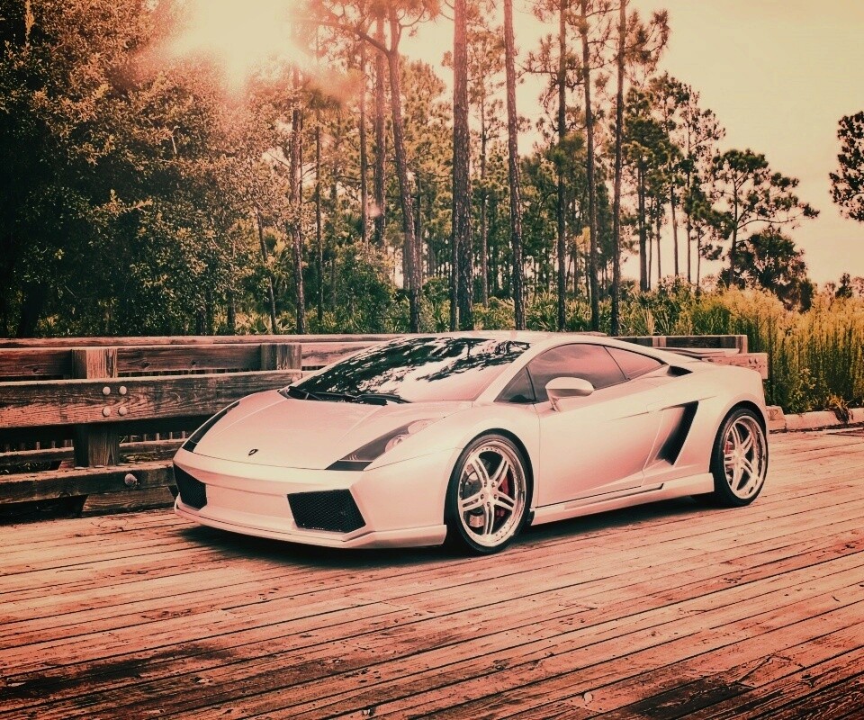 Ламбоджини на мосту в лесу обои