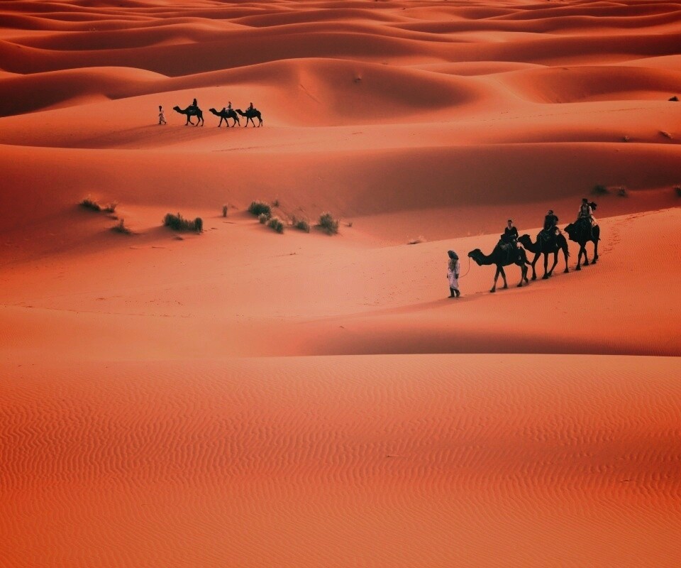 Караваны пустыни обои