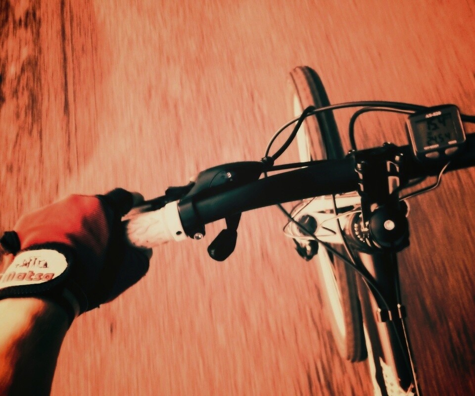 Катание на велосипеде обои