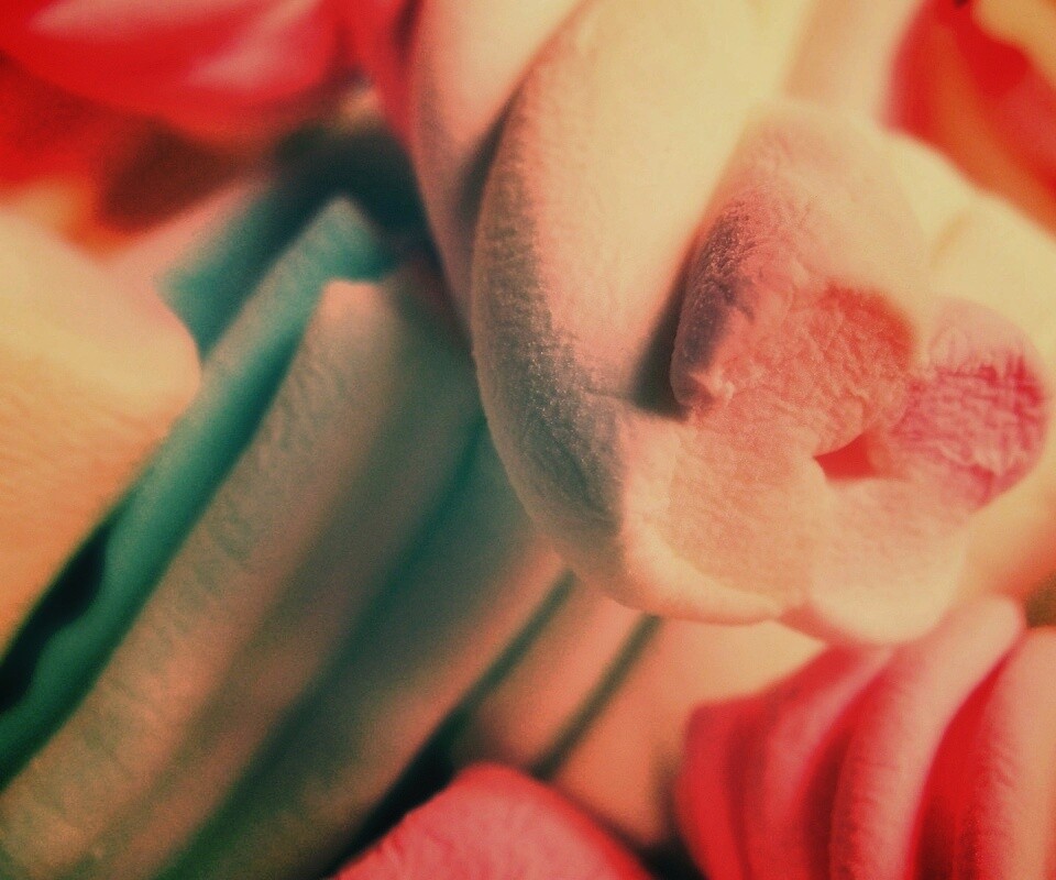 Кручёный зефир обои