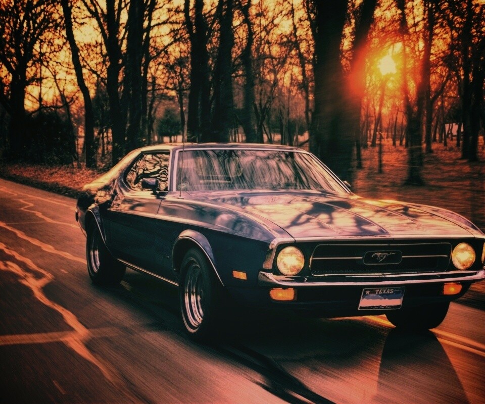 Мустанг обои