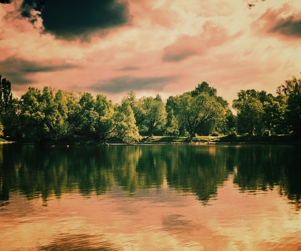 Деревья на берегу озера обои