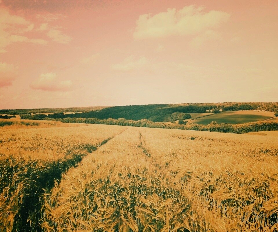 Бескрайние просторы обои