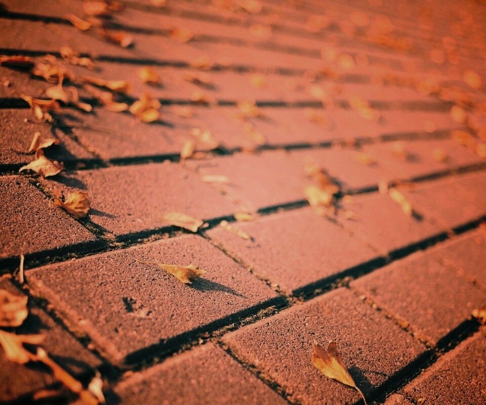 Тротуар обои