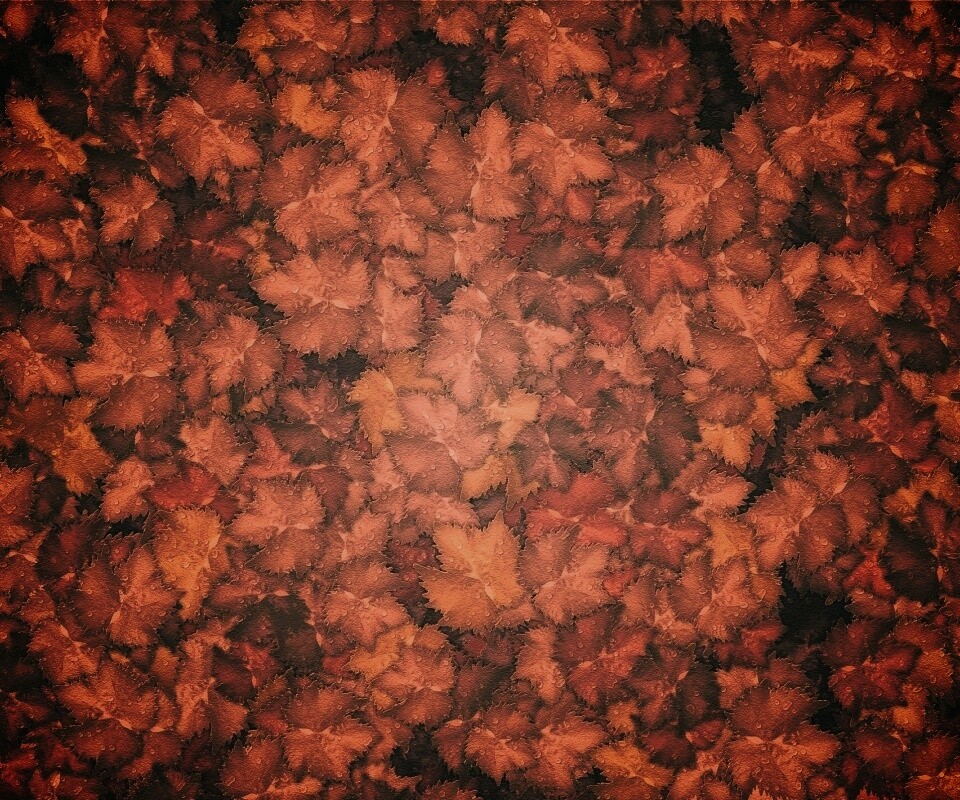 Осенние листья обои