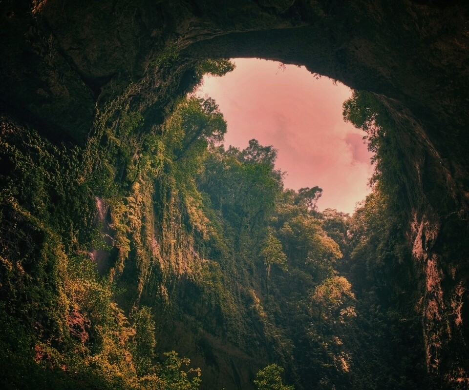 Заросшее ущелье обои