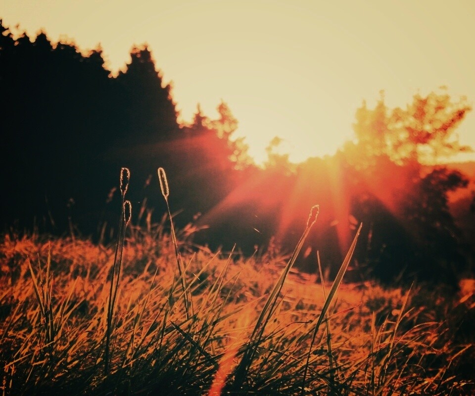 Красота природы обои