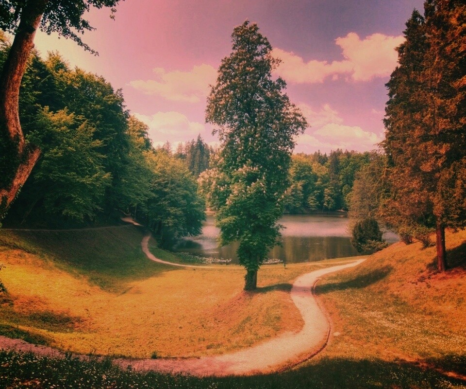 Прекрасная природа обои