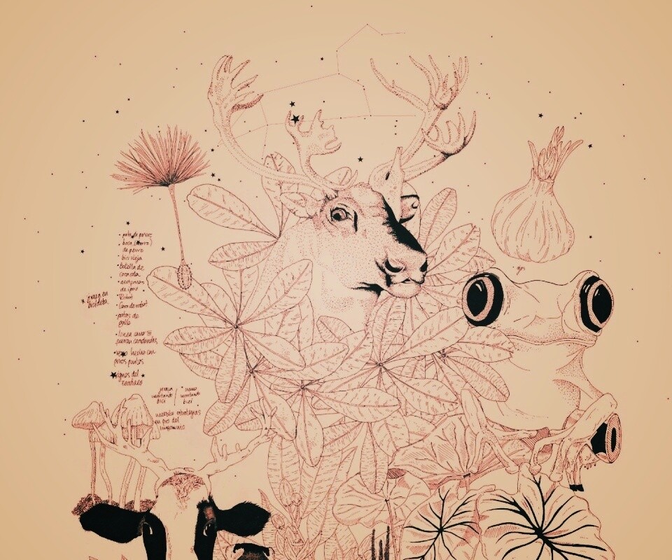 Животные на рабочий стол Apple обои