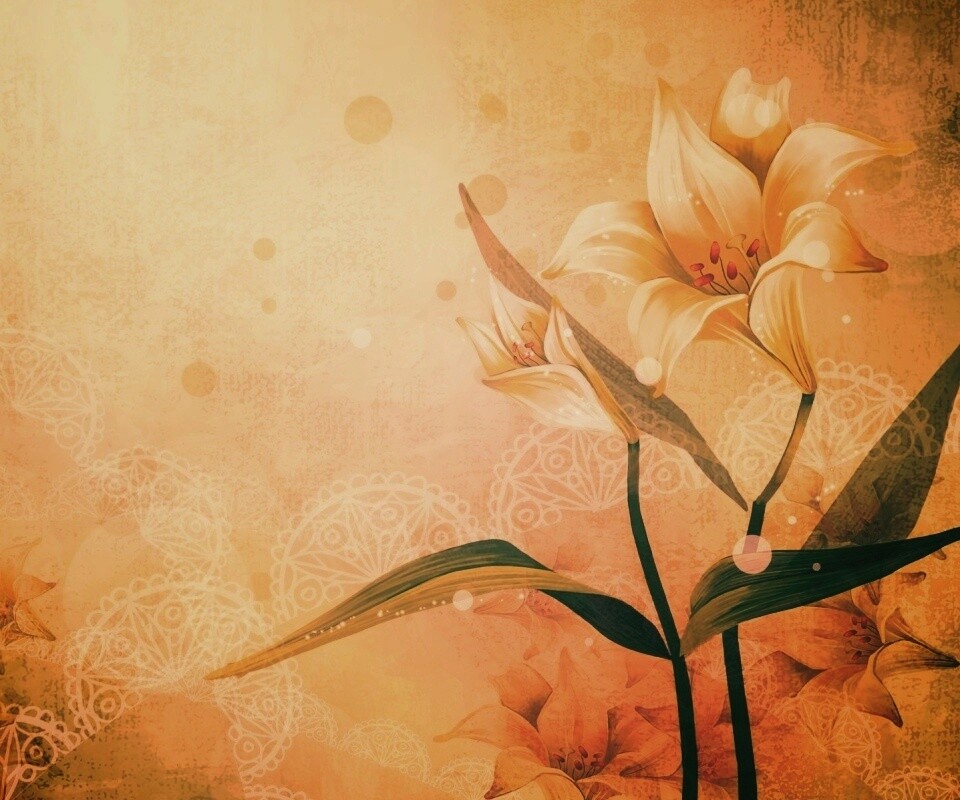 Красивое изображение лилии обои