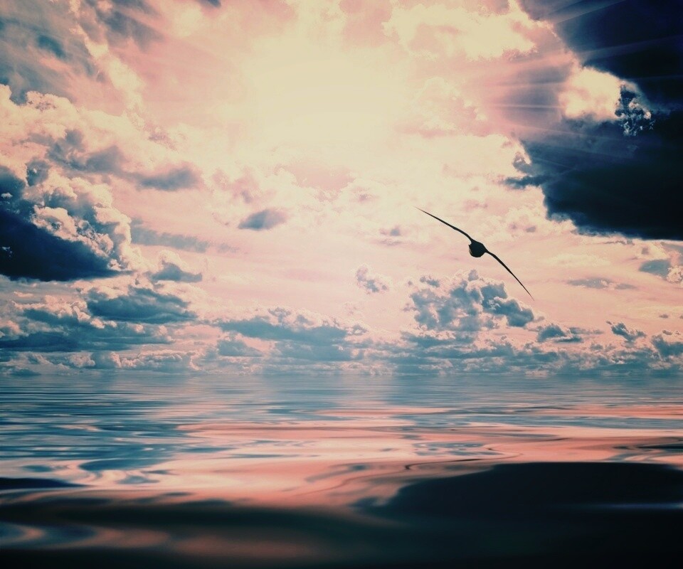 Лети как птица над волнами обои