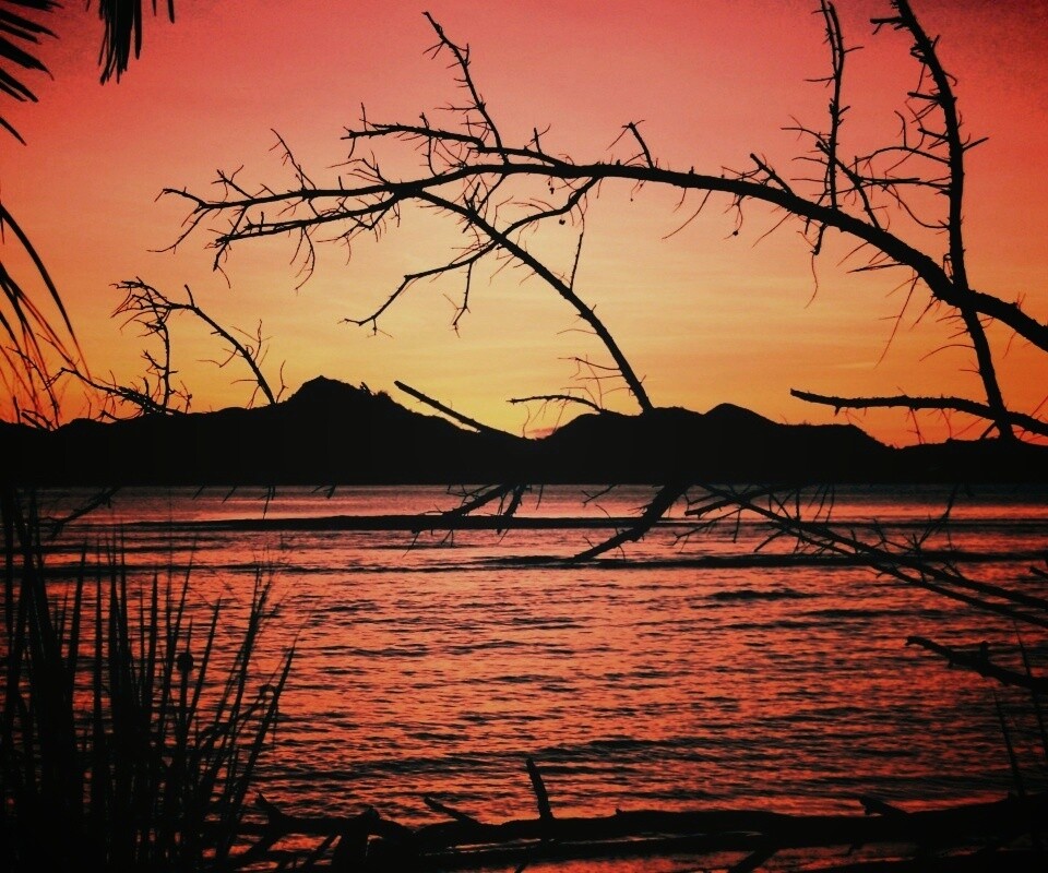 Тропический закат обои
