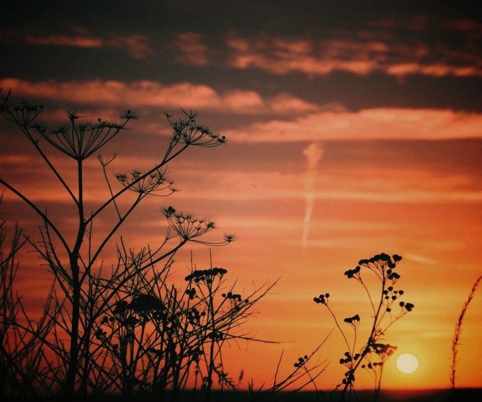 Степной закат обои