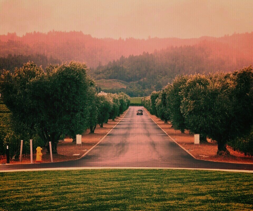 Сельский пейзаж обои