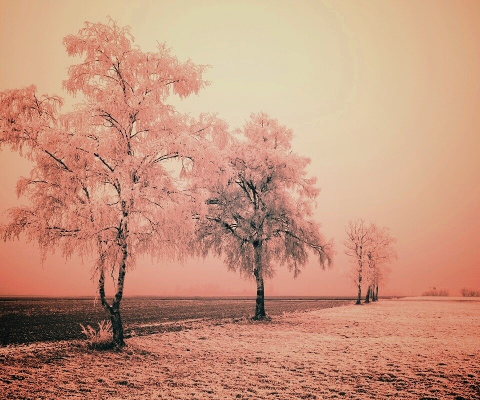 Первый снег обои