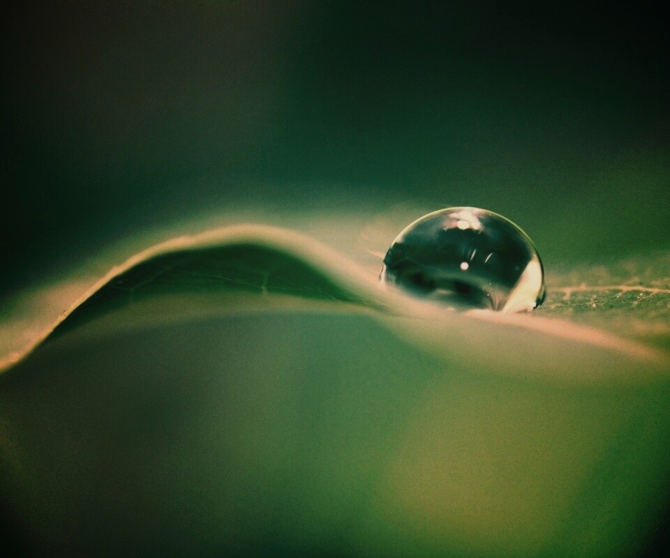 Фотография капли воды в макро обои