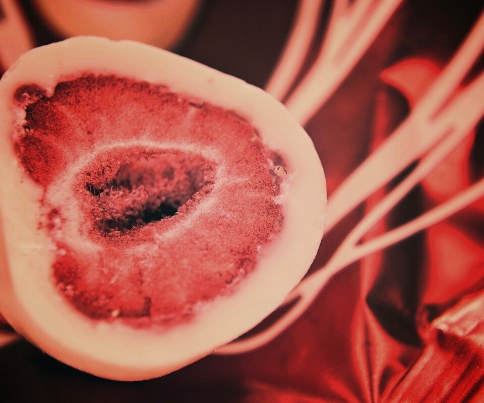 Клубника в белом шоколаде обои