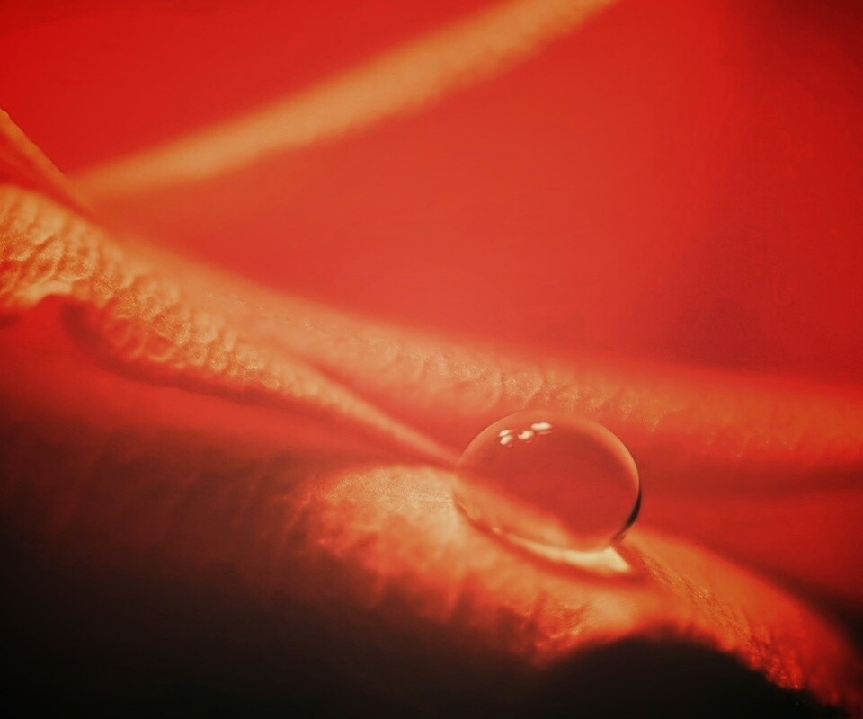 Капелька обои