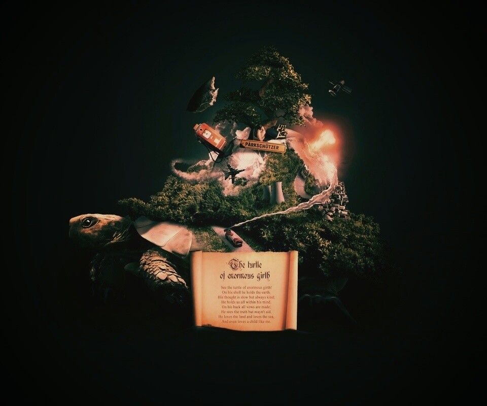 Огромная в обхвате черепаха обои