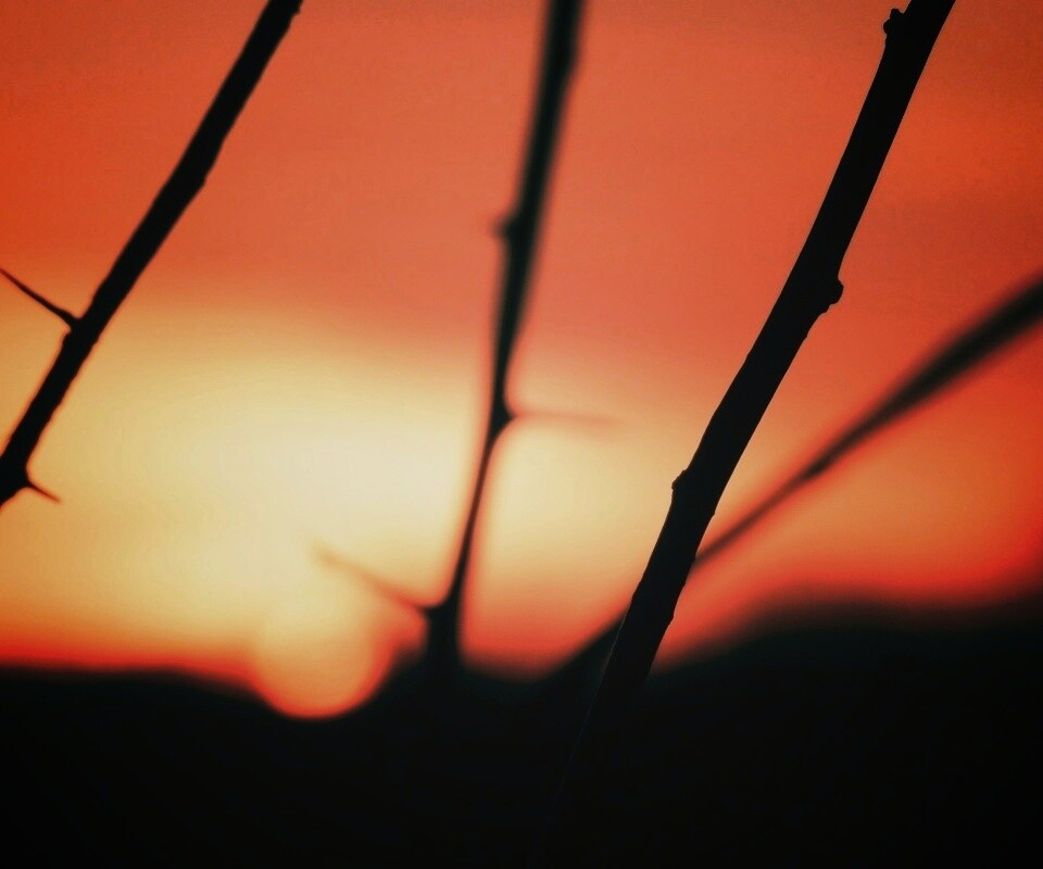 Закат солнца в поле обои