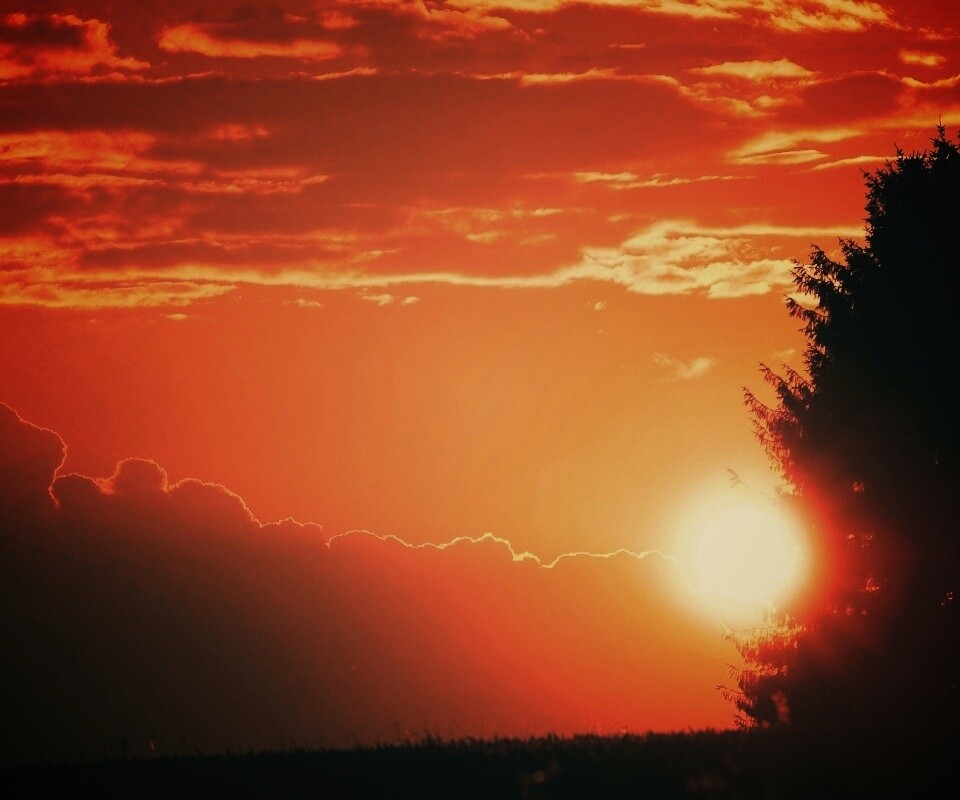 Теплый закат над полем обои