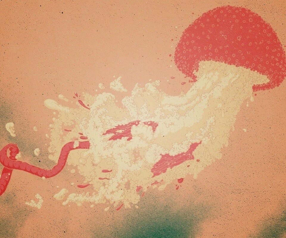 Розовая медуза обои