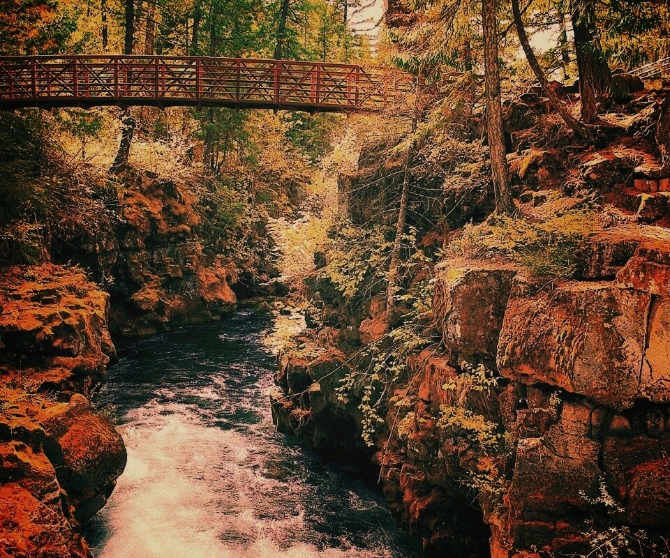 Мостик через реку в лесу обои