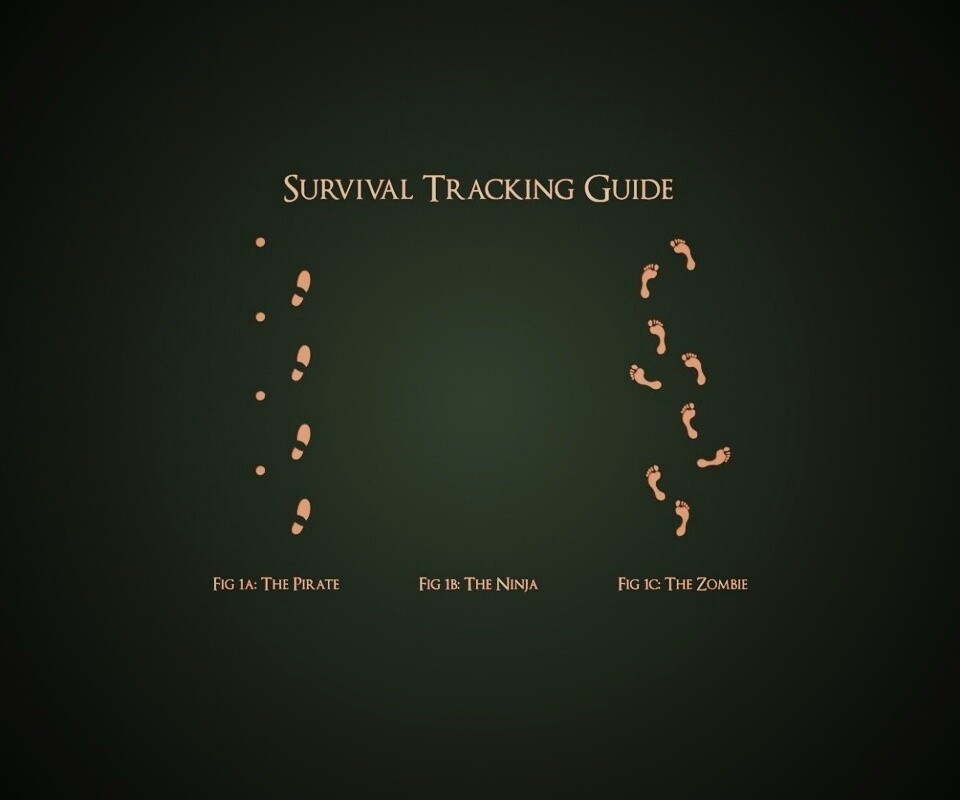 Следы: Пират, Ниндзя, Зомби обои