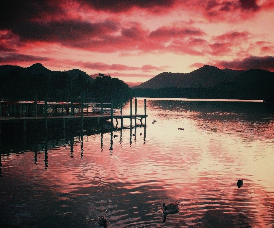 Причал на озере и утки обои