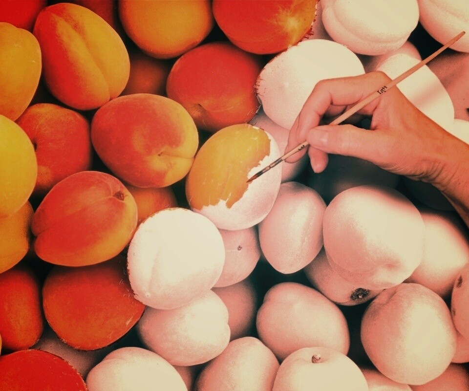 Крася абрикосы обои