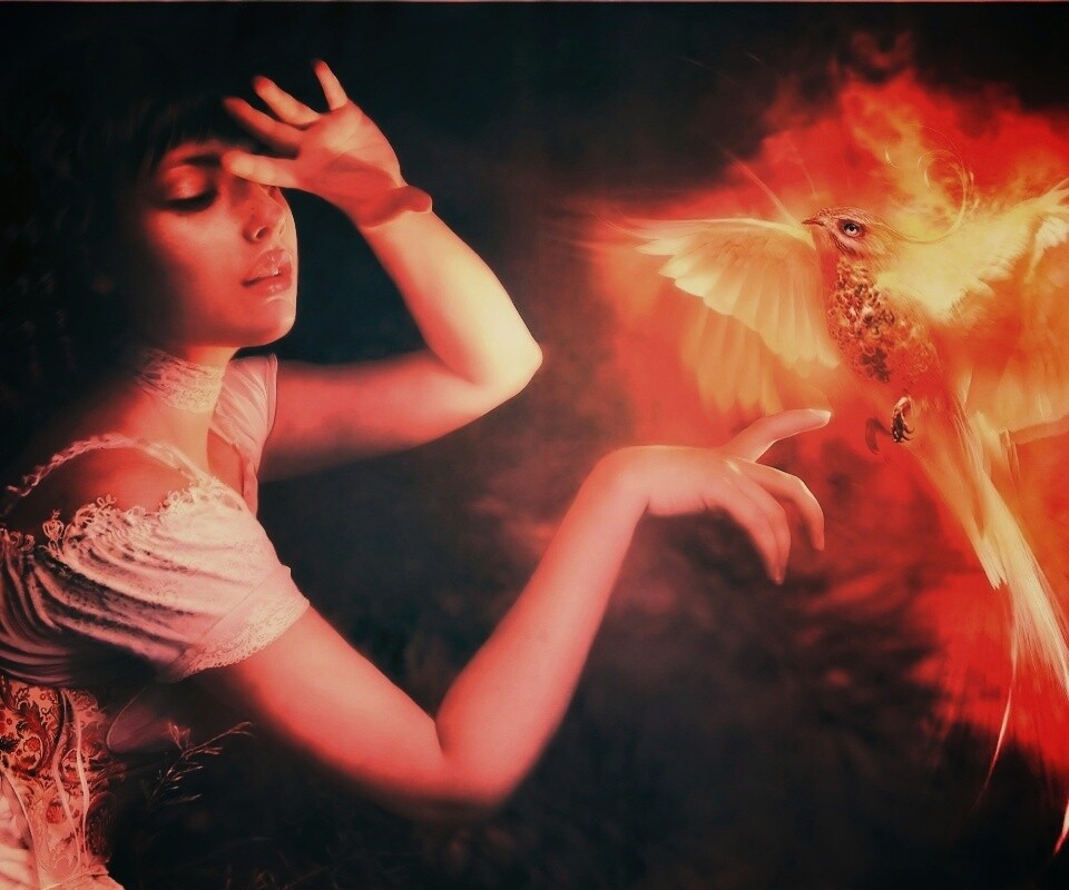 Феникс обои