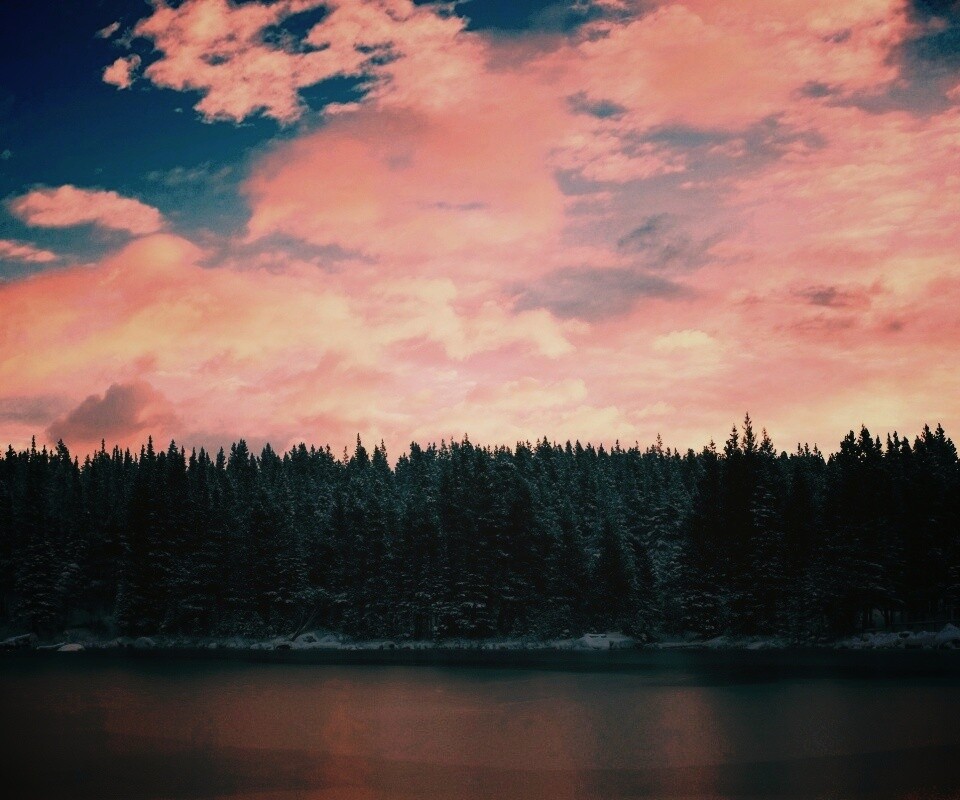 Лес на озере обои