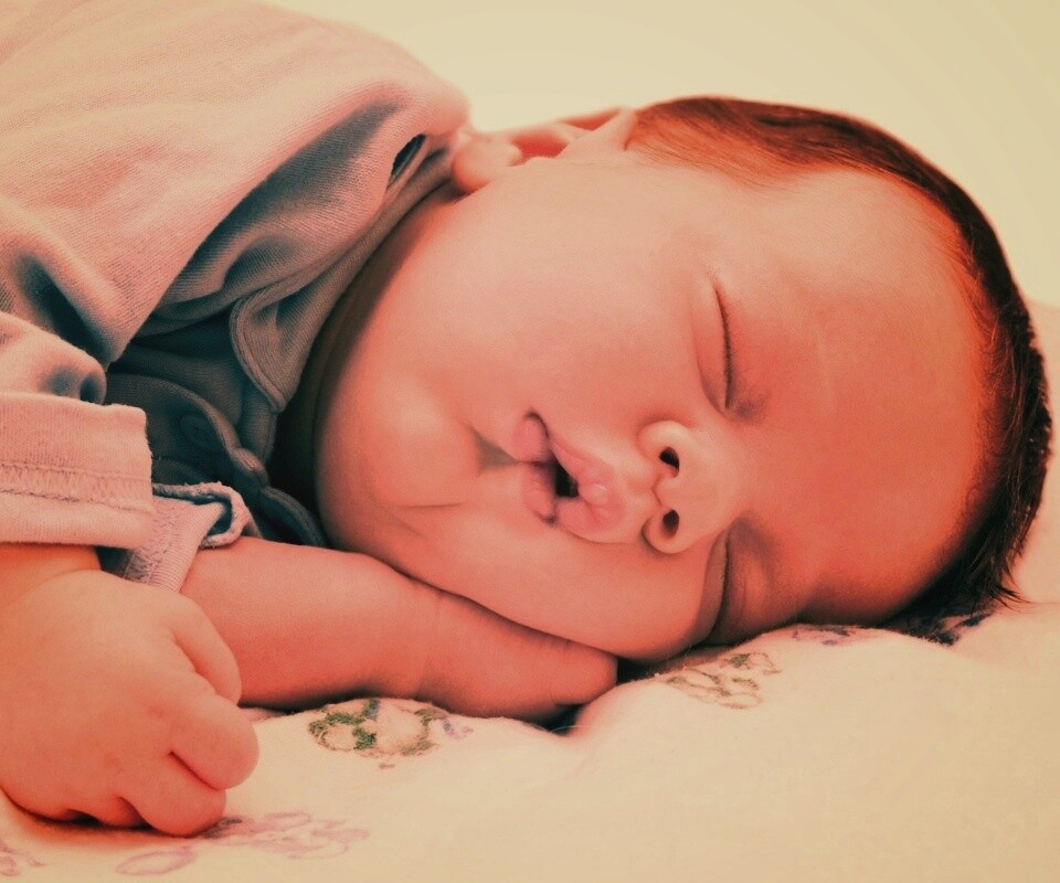 Спящая прелесть обои